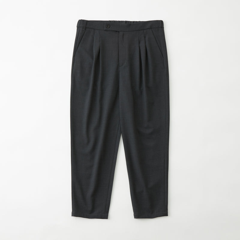 STRETCH TWILL 2 TUCK PANTS