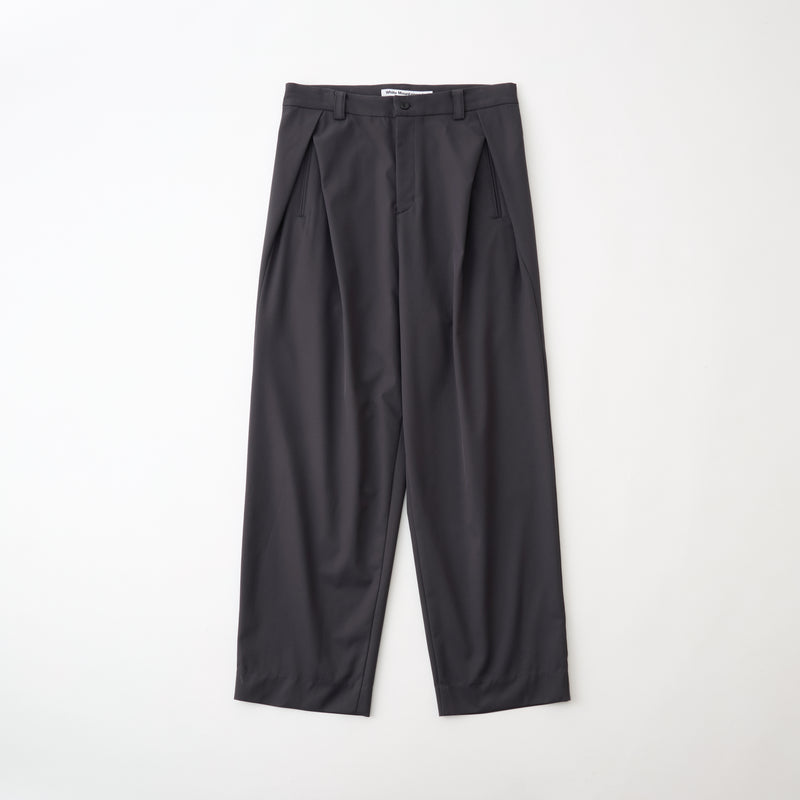 SOLOTEX 2 TUCK WIDE PANTS